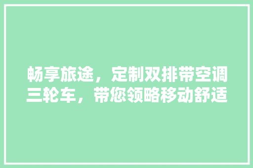 畅享旅途，定制双排带空调三轮车，带您领略移动舒适空间