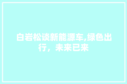 白岩松谈新能源车,绿色出行，未来已来