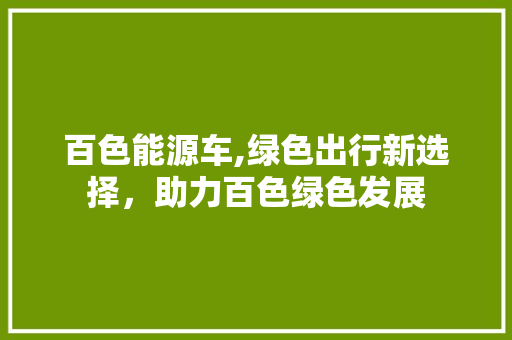百色能源车,绿色出行新选择，助力百色绿色发展