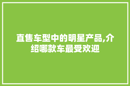 直售车型中的明星产品,介绍哪款车最受欢迎