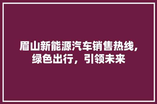 眉山新能源汽车销售热线,绿色出行，引领未来