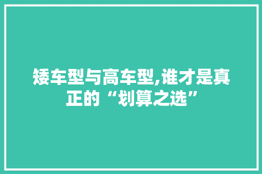 矮车型与高车型,谁才是真正的“划算之选”