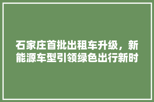 石家庄首批出租车升级，新能源车型引领绿色出行新时代