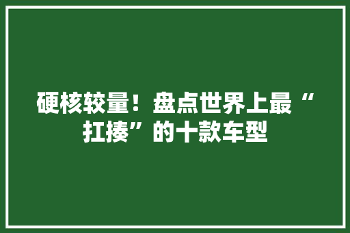 硬核较量！盘点世界上最“扛揍”的十款车型
