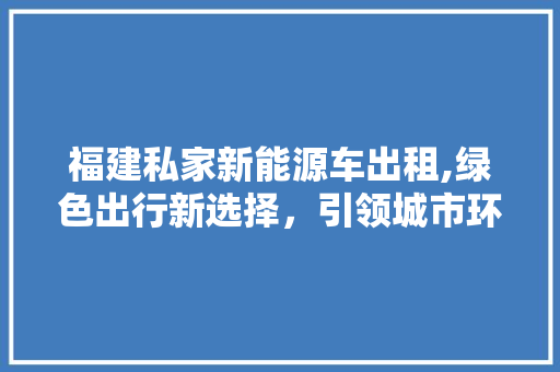 福建私家新能源车出租,绿色出行新选择，引领城市环保新风尚