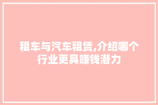 租车与汽车租赁,介绍哪个行业更具赚钱潜力