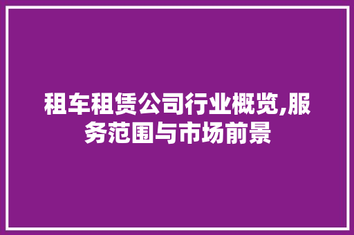 租车租赁公司行业概览,服务范围与市场前景