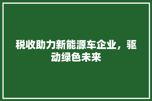 税收助力新能源车企业，驱动绿色未来