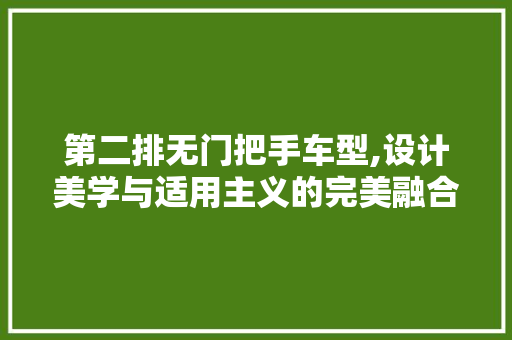 第二排无门把手车型,设计美学与适用主义的完美融合