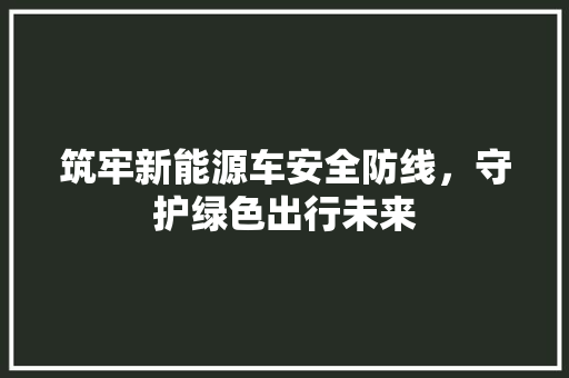 筑牢新能源车安全防线，守护绿色出行未来