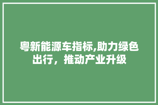 粤新能源车指标,助力绿色出行，推动产业升级