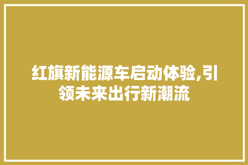 红旗新能源车启动体验,引领未来出行新潮流