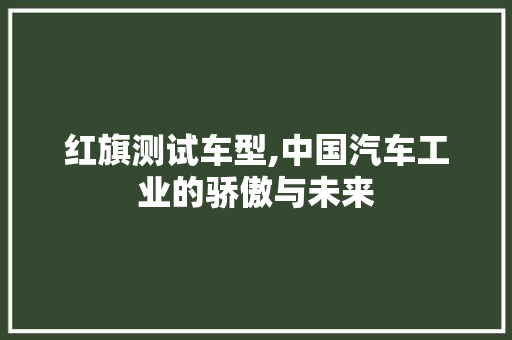 红旗测试车型,中国汽车工业的骄傲与未来 发动机配件