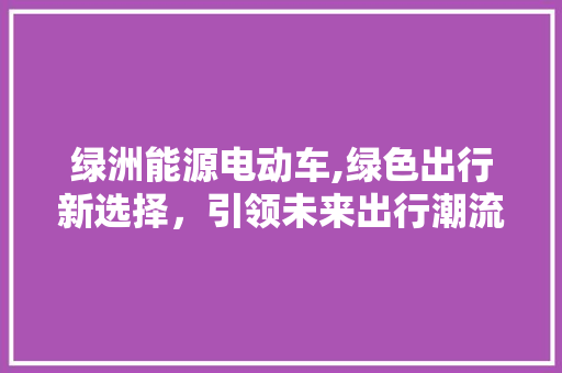 绿洲能源电动车,绿色出行新选择，引领未来出行潮流