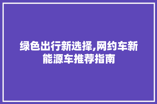 绿色出行新选择,网约车新能源车推荐指南
