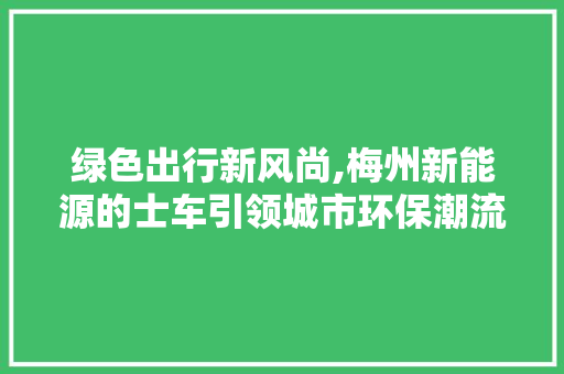 绿色出行新风尚,梅州新能源的士车引领城市环保潮流