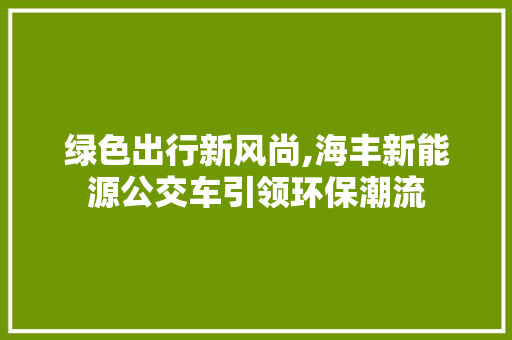 绿色出行新风尚,海丰新能源公交车引领环保潮流