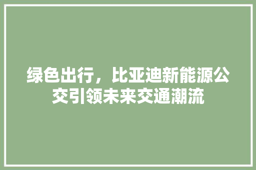 绿色出行，比亚迪新能源公交引领未来交通潮流