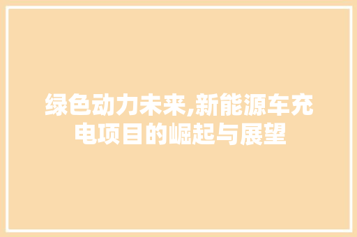 绿色动力未来,新能源车充电项目的崛起与展望