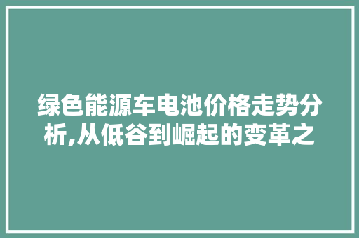 绿色能源车电池价格走势分析,从低谷到崛起的变革之路