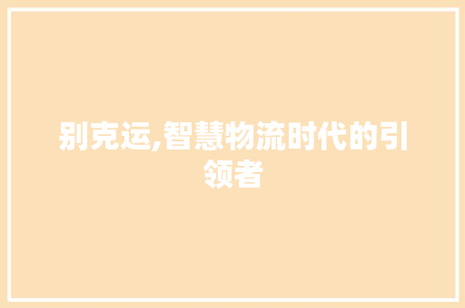 别克运,智慧物流时代的引领者