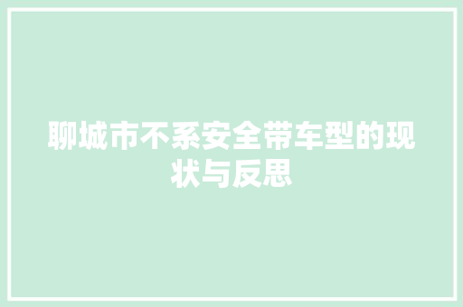 聊城市不系安全带车型的现状与反思
