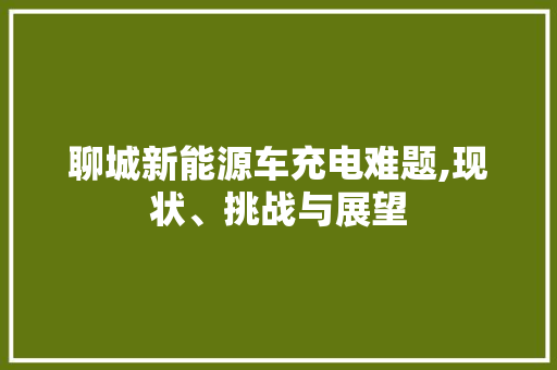 聊城新能源车充电难题,现状、挑战与展望