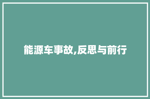 能源车事故,反思与前行