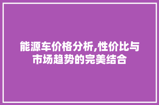能源车价格分析,性价比与市场趋势的完美结合
