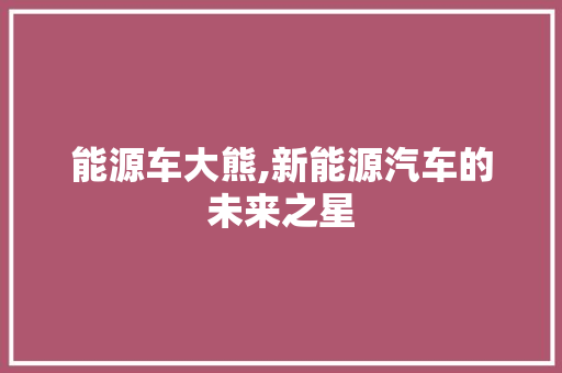 能源车大熊,新能源汽车的未来之星