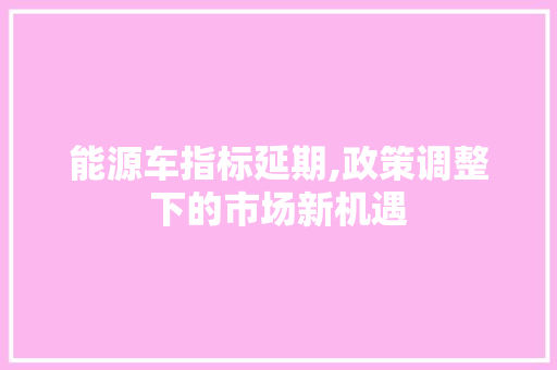 能源车指标延期,政策调整下的市场新机遇