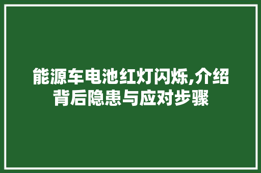 能源车电池红灯闪烁,介绍背后隐患与应对步骤