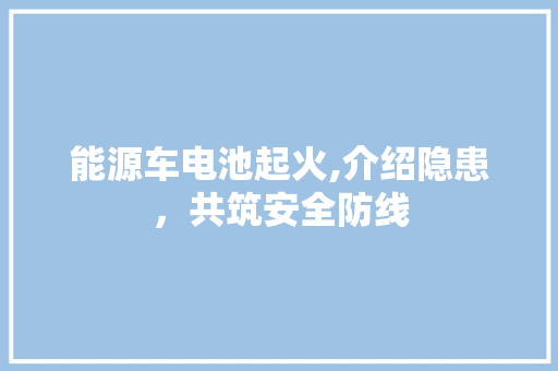 能源车电池起火,介绍隐患，共筑安全防线