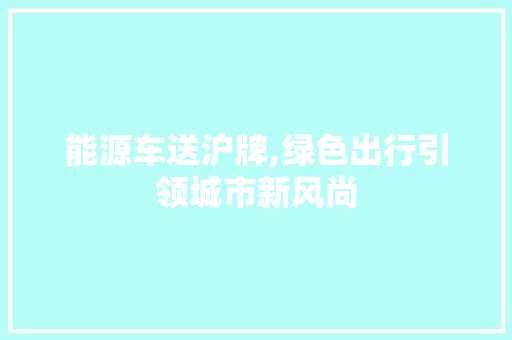能源车送沪牌,绿色出行引领城市新风尚