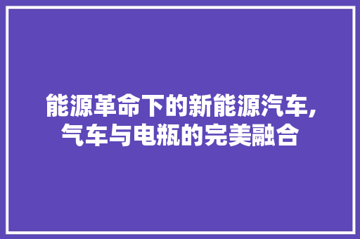 能源革命下的新能源汽车,气车与电瓶的完美融合