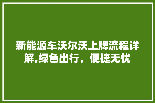 新能源车沃尔沃上牌流程详解,绿色出行，便捷无忧