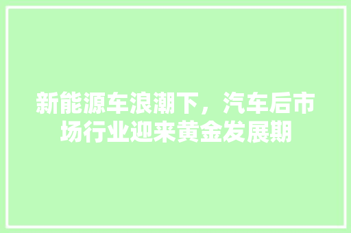 新能源车浪潮下，汽车后市场行业迎来黄金发展期