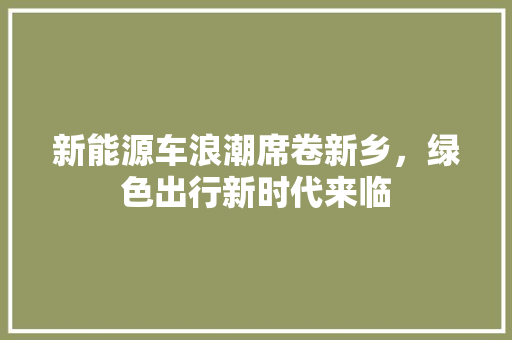 新能源车浪潮席卷新乡，绿色出行新时代来临