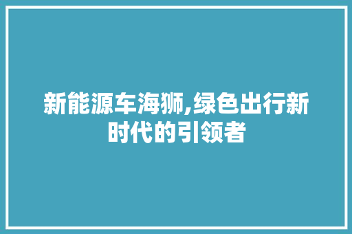 新能源车海狮,绿色出行新时代的引领者