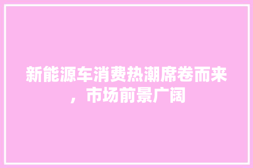 新能源车消费热潮席卷而来，市场前景广阔
