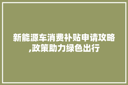 新能源车消费补贴申请攻略,政策助力绿色出行