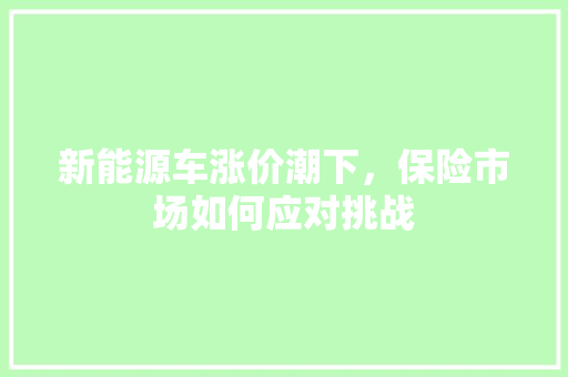 新能源车涨价潮下，保险市场如何应对挑战