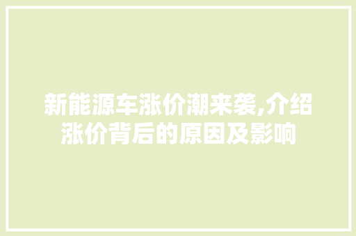 新能源车涨价潮来袭,介绍涨价背后的原因及影响