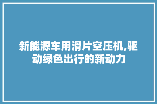新能源车用滑片空压机,驱动绿色出行的新动力