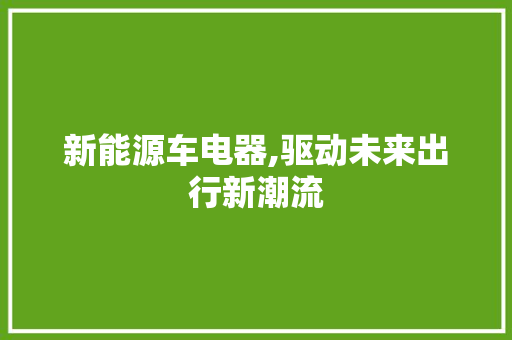 新能源车电器,驱动未来出行新潮流