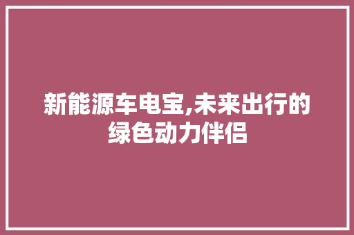 新能源车电宝,未来出行的绿色动力伴侣