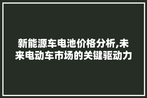 新能源车电池价格分析,未来电动车市场的关键驱动力