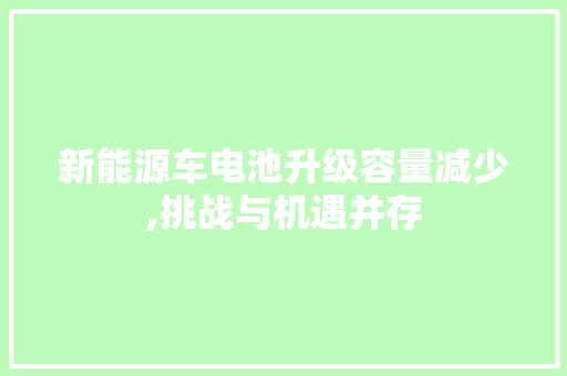 新能源车电池升级容量减少,挑战与机遇并存