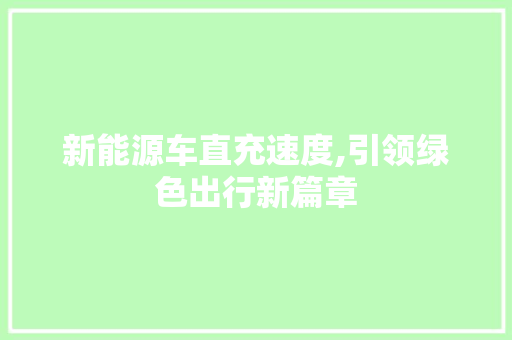 新能源车直充速度,引领绿色出行新篇章