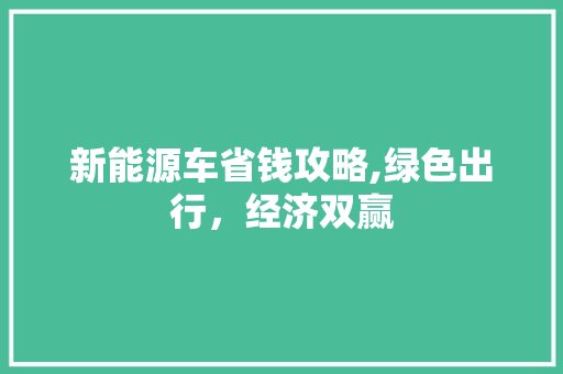 新能源车省钱攻略,绿色出行，经济双赢